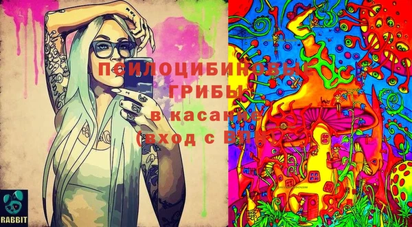 эйфоретик Абаза