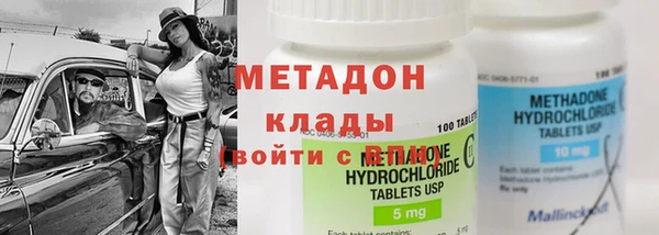 гашик Алексин