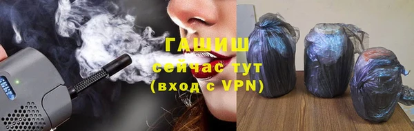 гашик Алексин