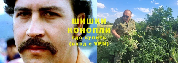 шишки Алзамай