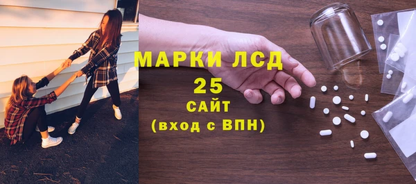 гашик Алексин